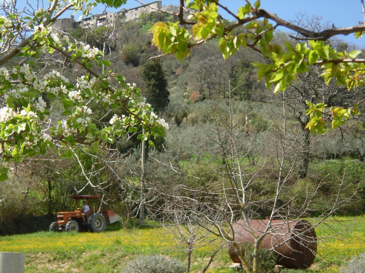 Montanari Agrivillage Нарни Екстериор снимка